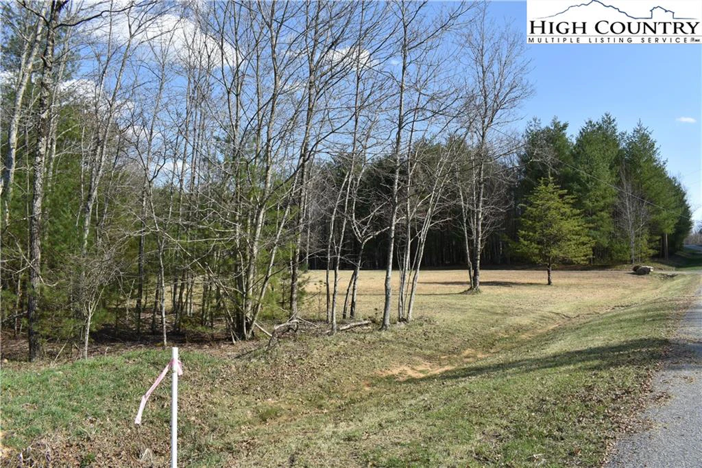 Image number 12 for the current listing