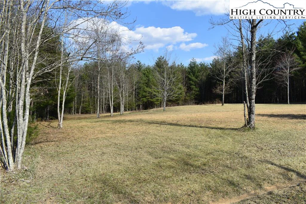 Image number 13 for the current listing