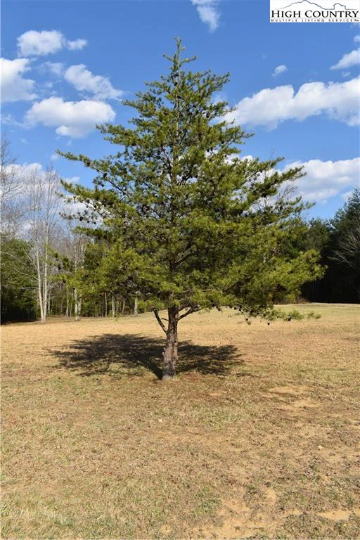 Image number 14 for the current listing