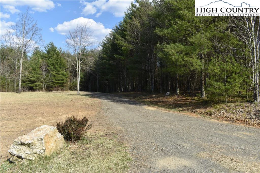 Image number 16 for the current listing
