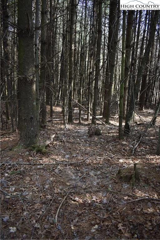 Image number 3 for the current listing