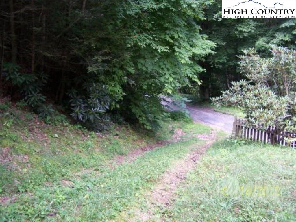 Image number 1 for the current listing