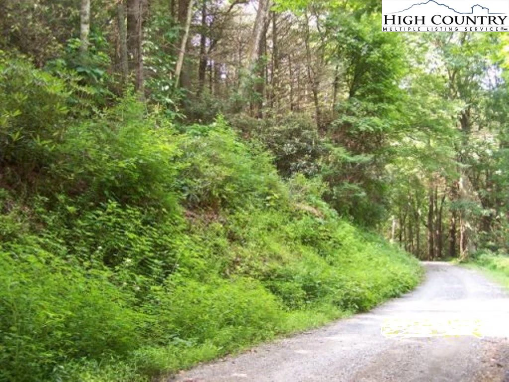 Image number 3 for the current listing