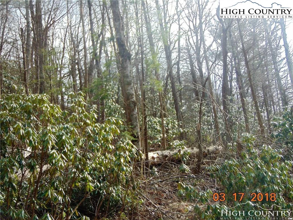 Image number 5 for the current listing