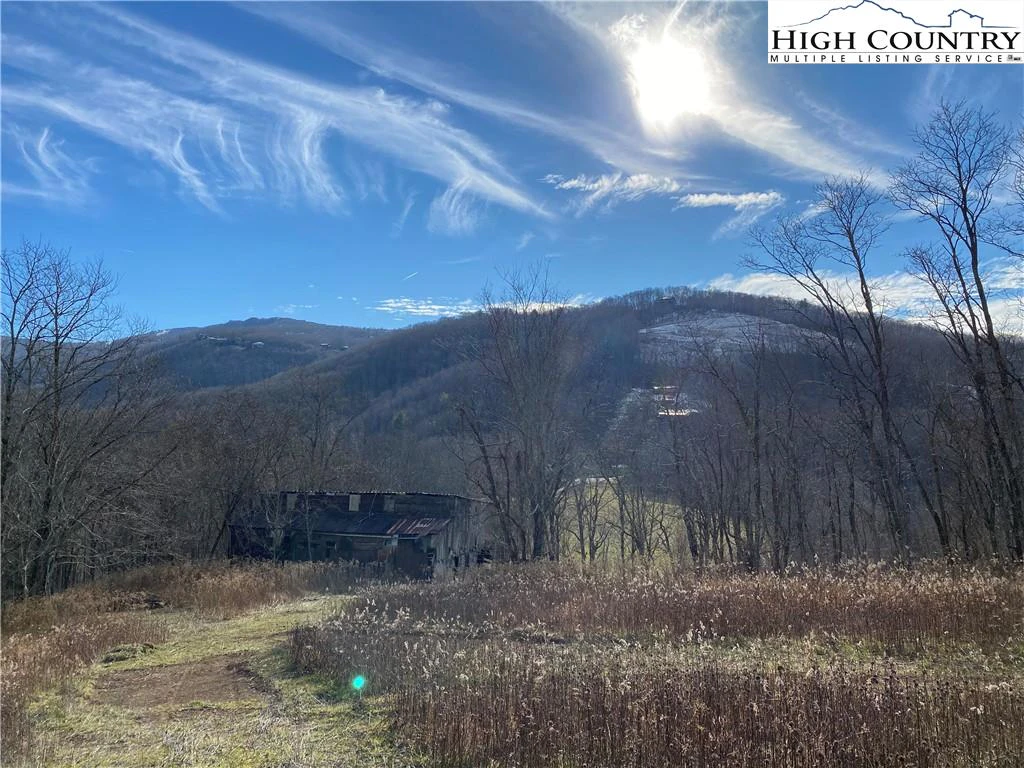 Image number 1 for the current listing