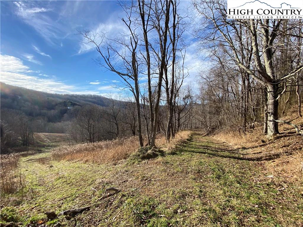 Image number 11 for the current listing