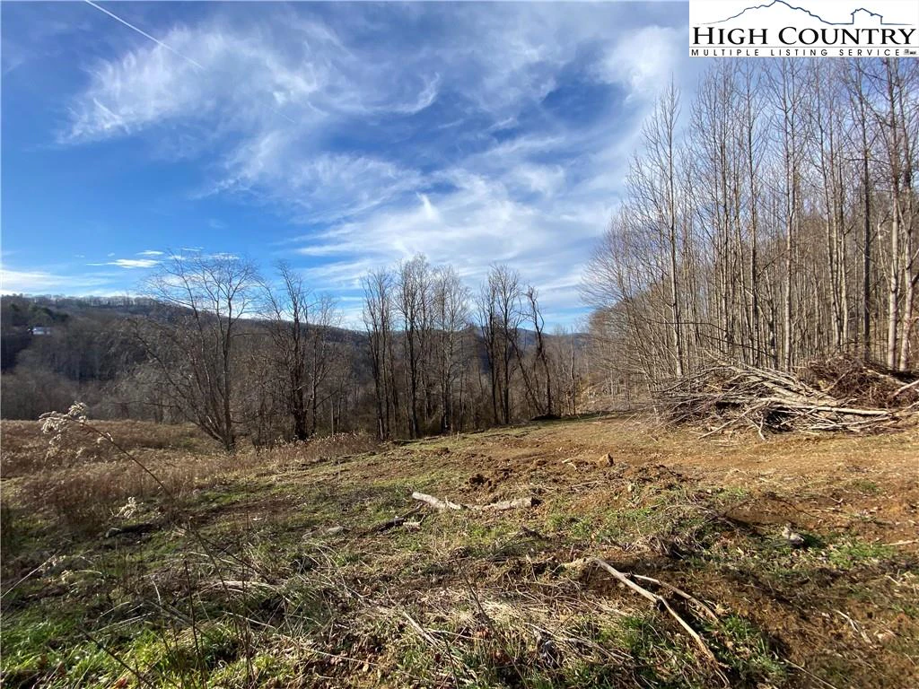 Image number 3 for the current listing