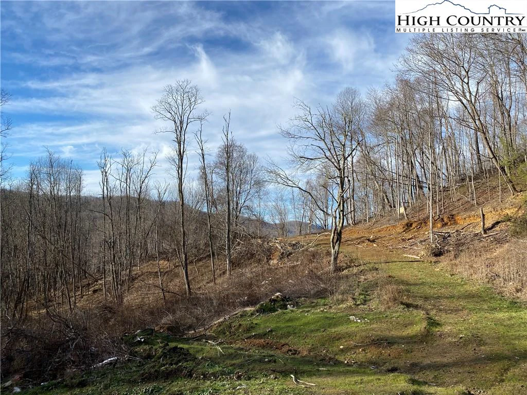 Image number 5 for the current listing