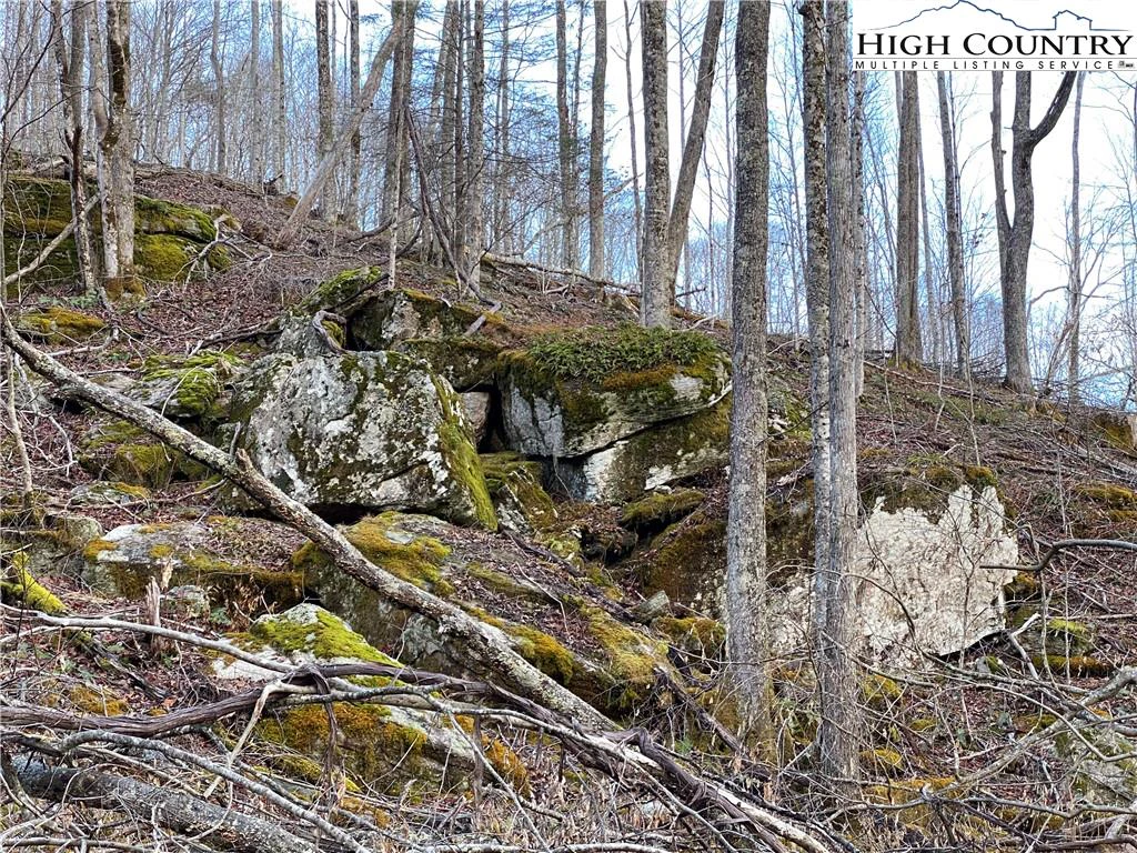 Image number 7 for the current listing
