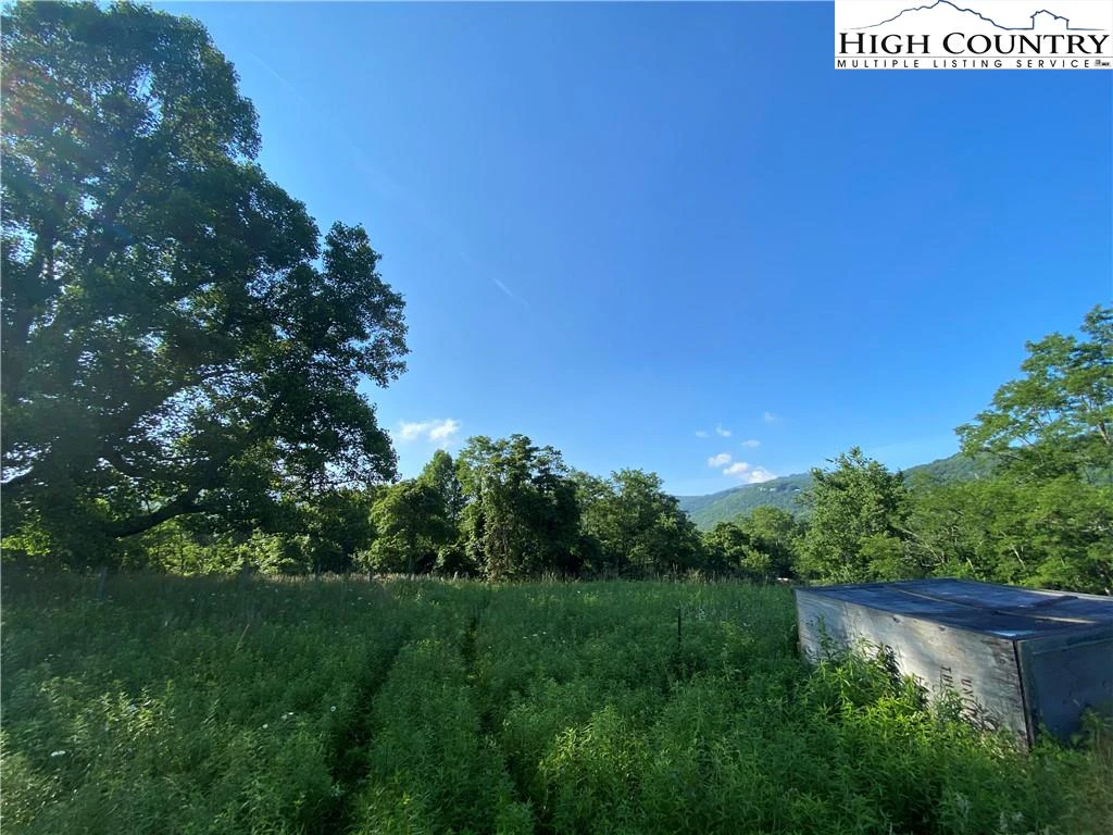 Image number 2 for the current listing