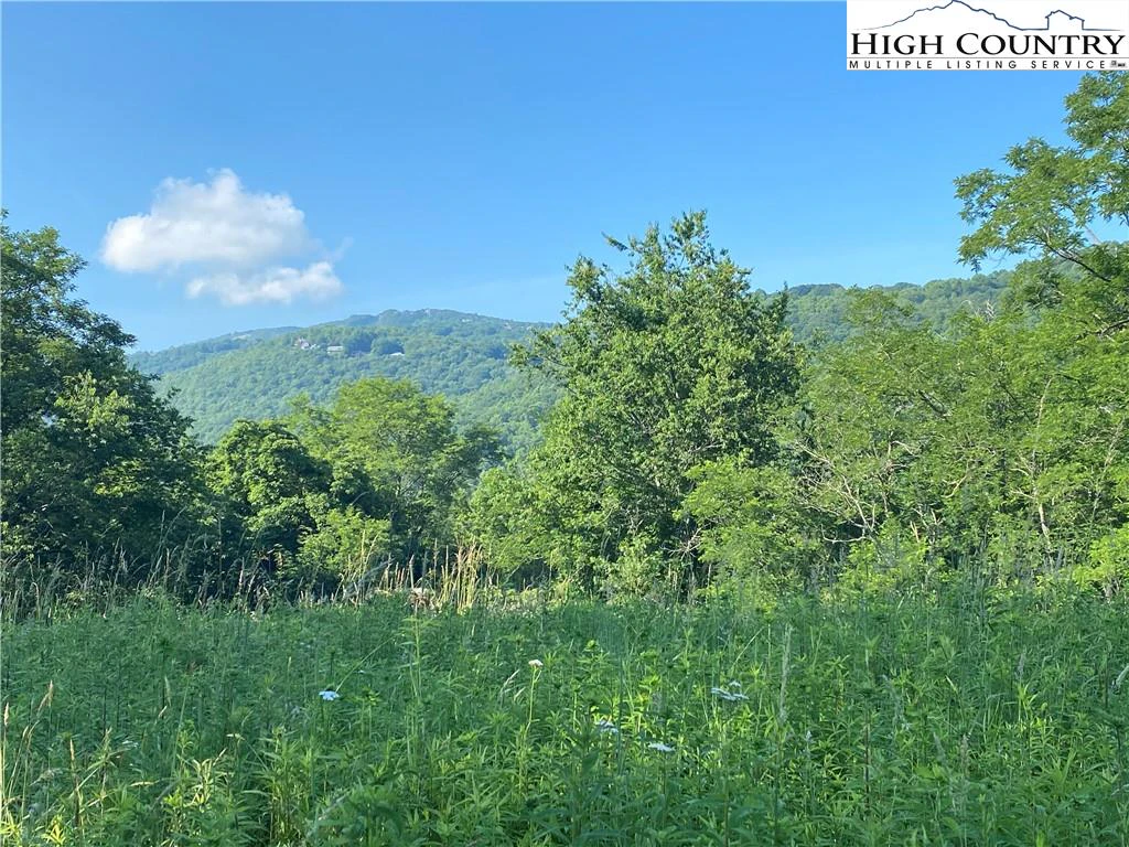 Image number 12 for the current listing