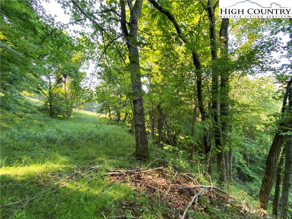 Image number 13 for the current listing