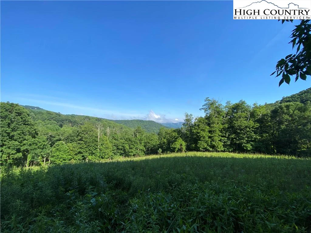 Image number 14 for the current listing