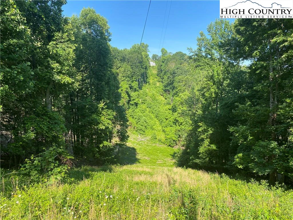 Image number 15 for the current listing