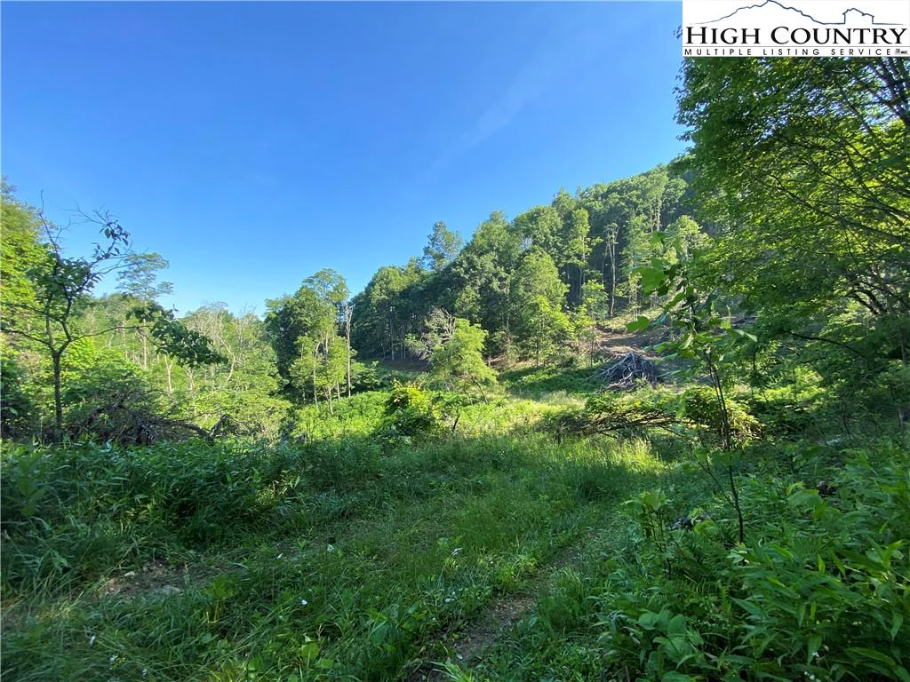 Image number 16 for the current listing