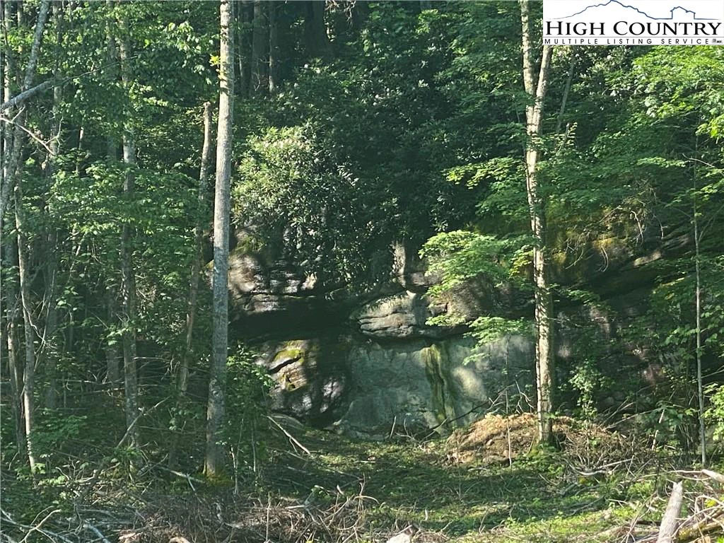 Image number 18 for the current listing