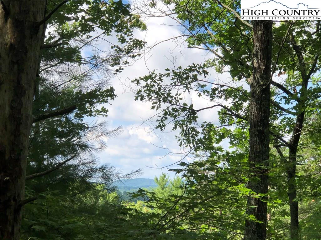 Image number 1 for the current listing