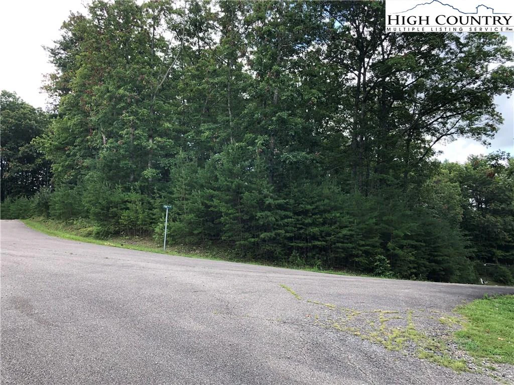 Image number 6 for the current listing