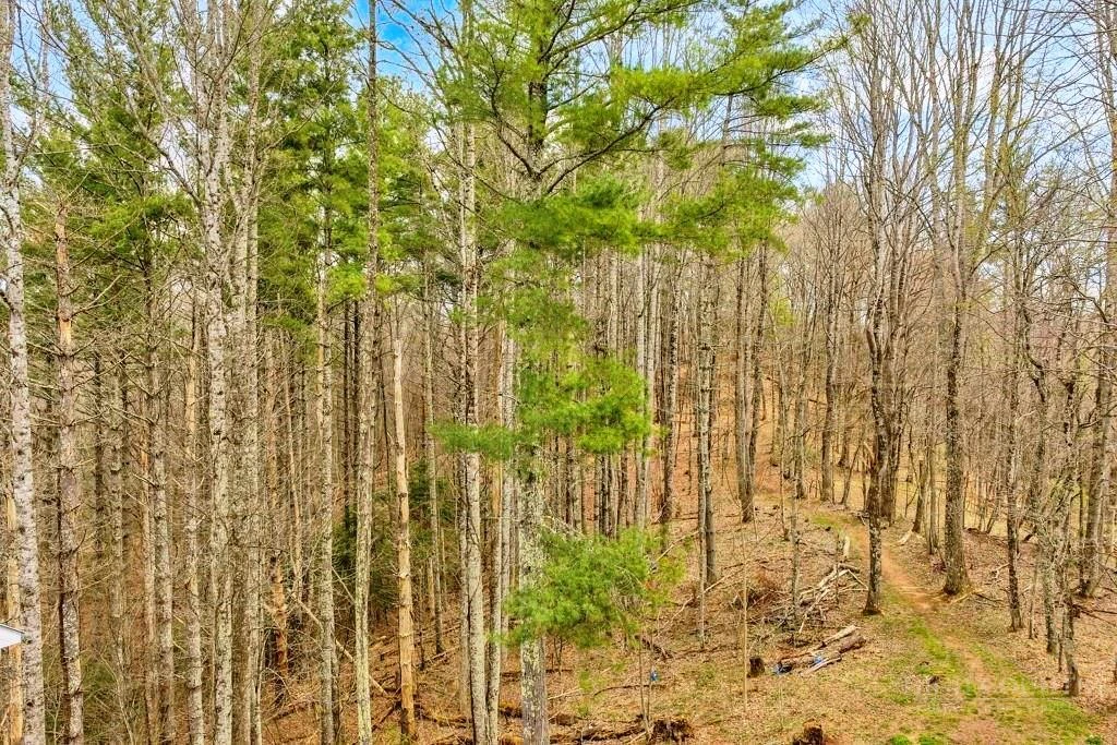 Image number 6 for the current listing