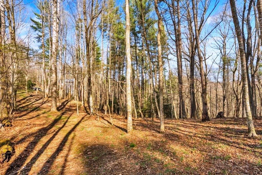 Image number 7 for the current listing