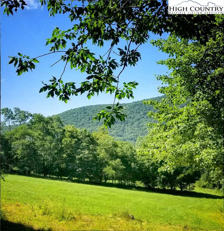 Image number 3 for the current listing