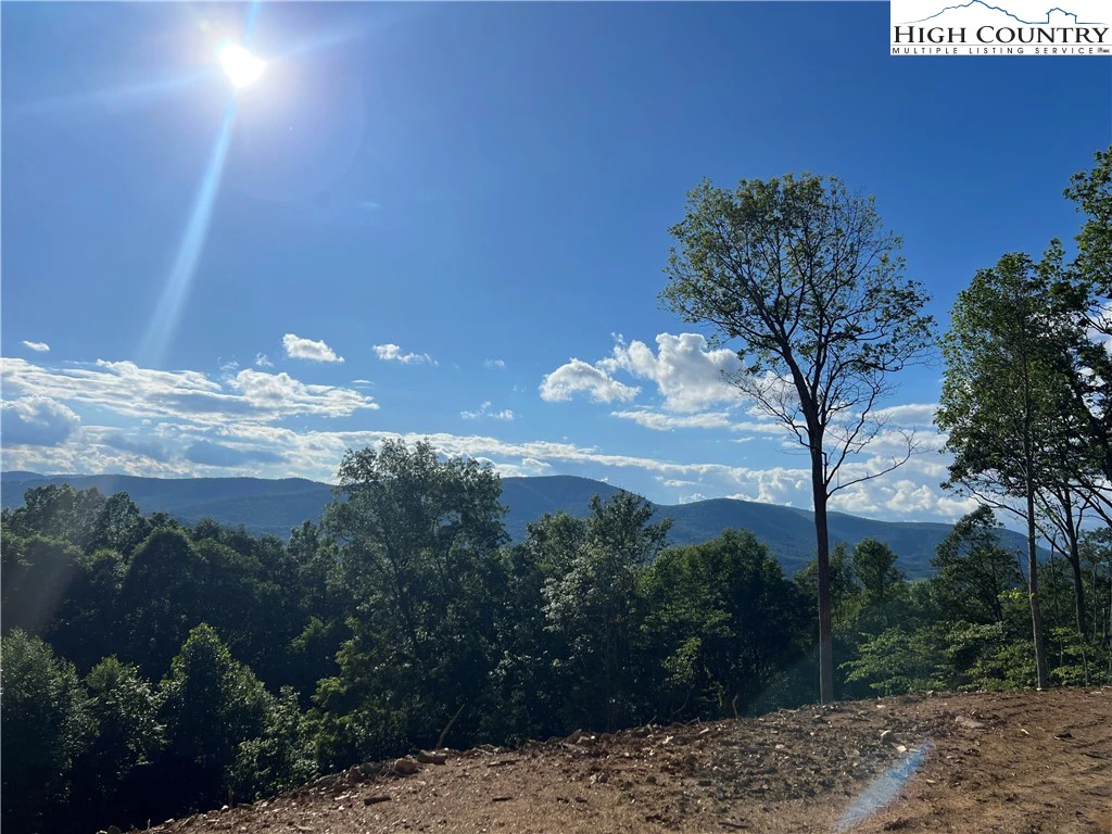 Image number 1 for the current listing