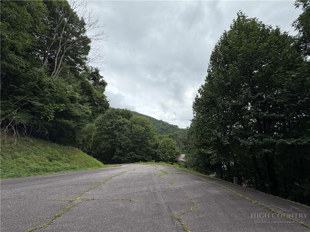 Image number 1 for the current listing