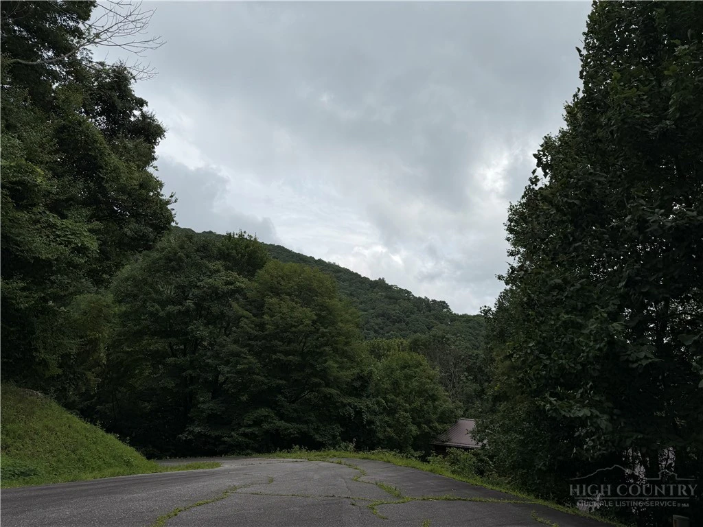 Image number 2 for the current listing