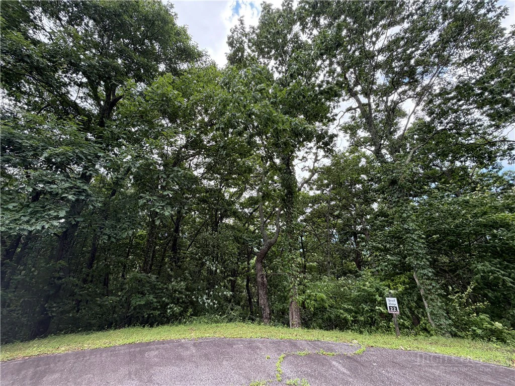 Image number 3 for the current listing