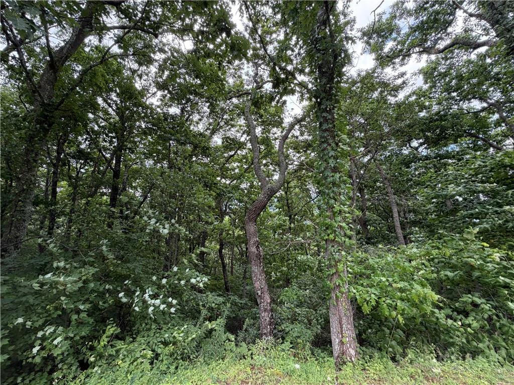 Image number 4 for the current listing