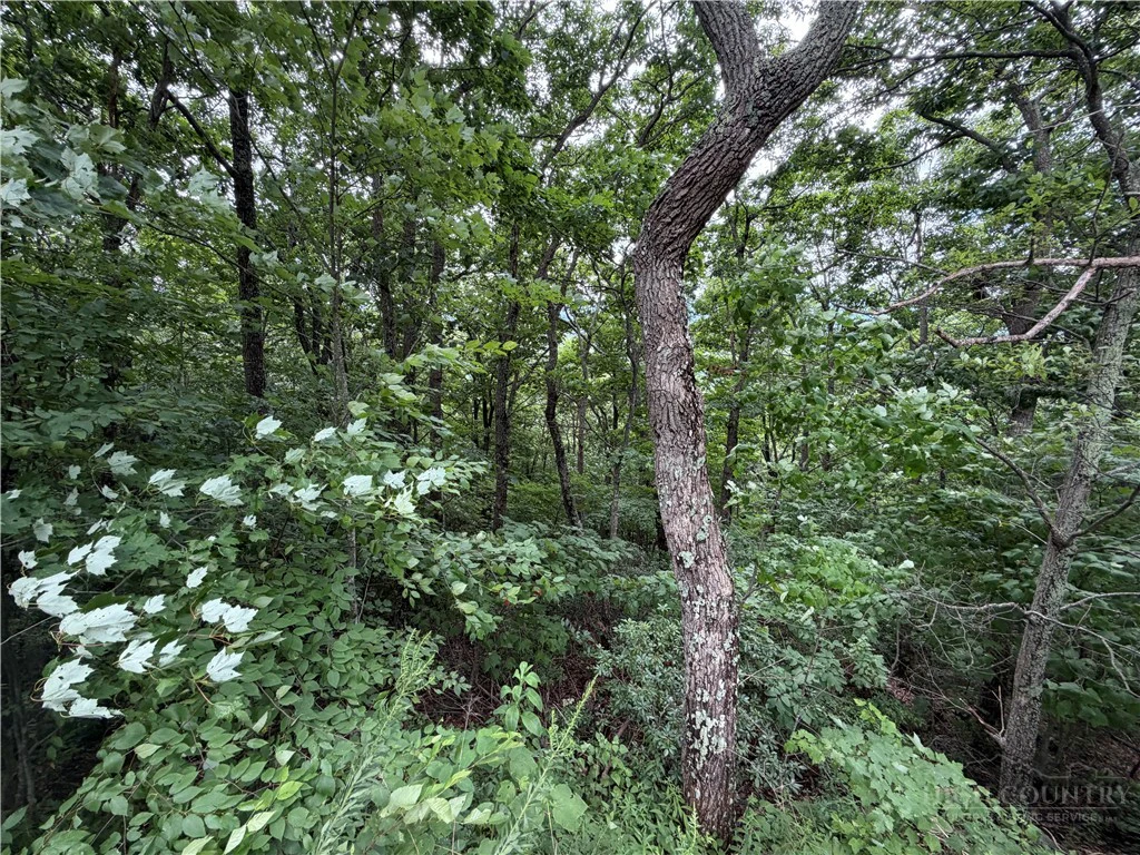 Image number 5 for the current listing