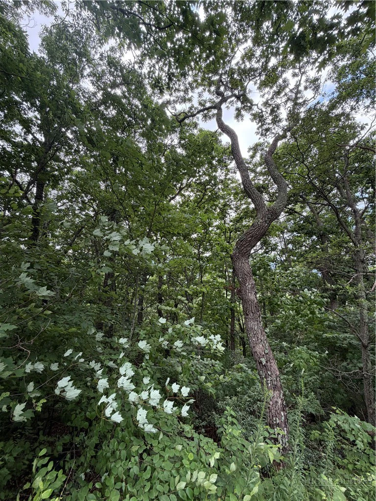 Image number 6 for the current listing