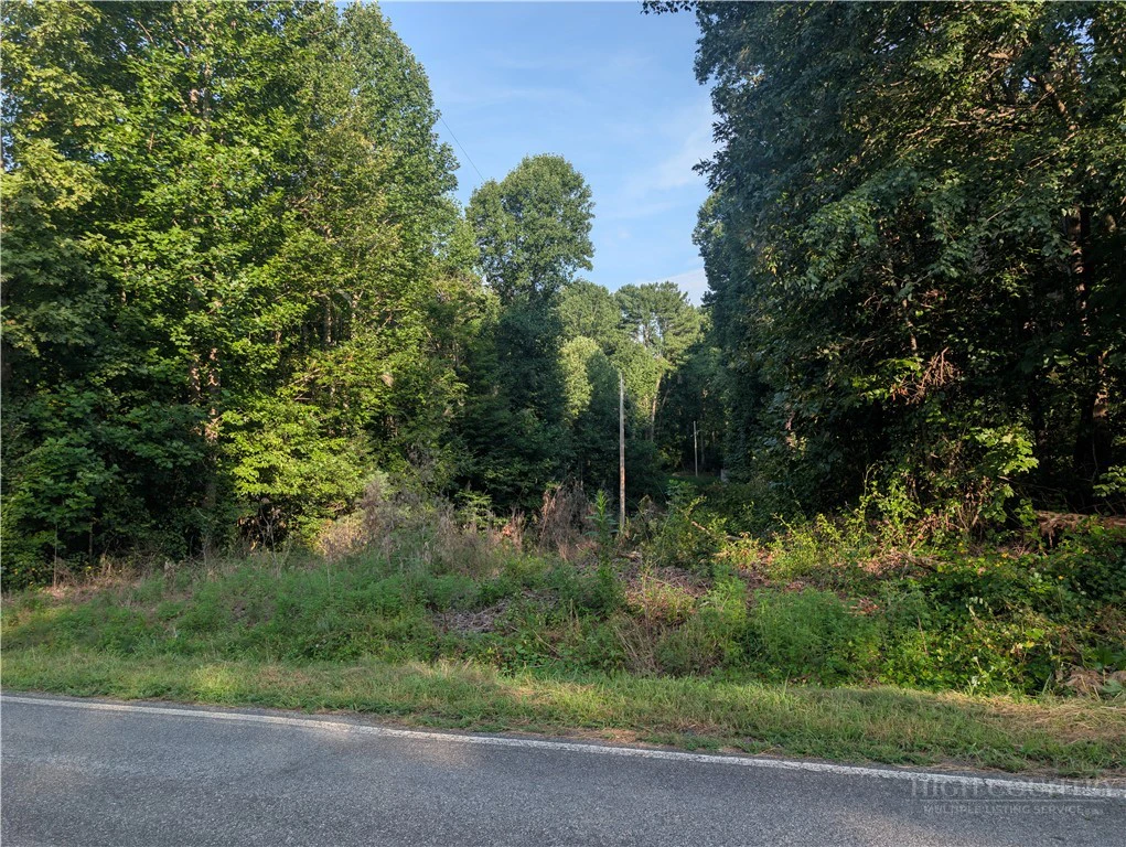 Image number 1 for the current listing