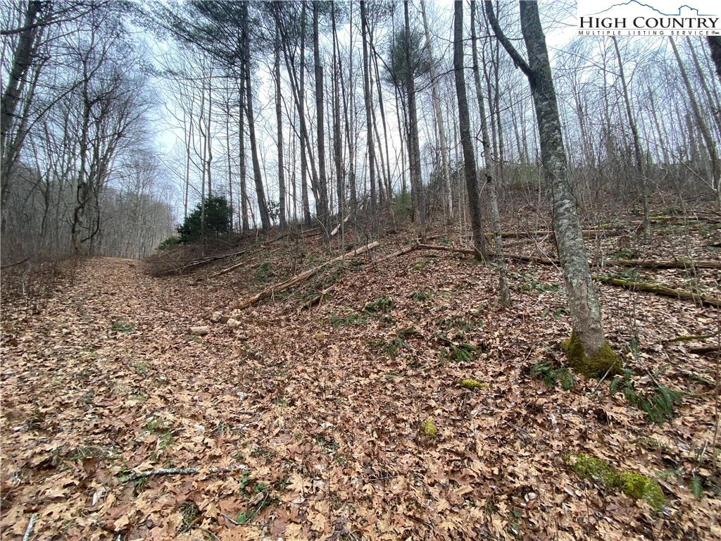 Image number 1 for the current listing