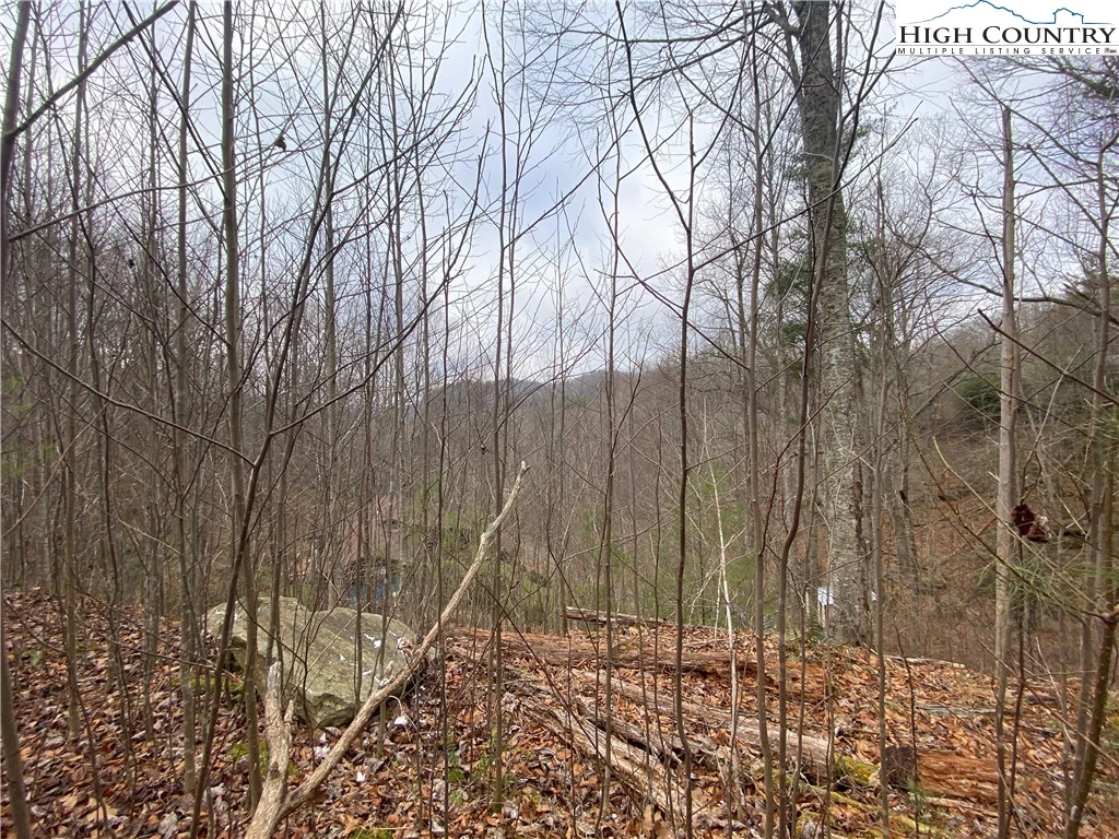 Image number 4 for the current listing