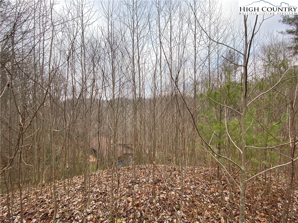 Image number 7 for the current listing