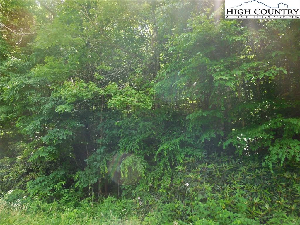Image number 4 for the current listing