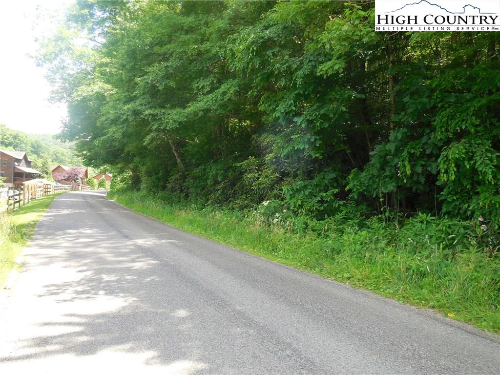 Image number 2 for the current listing