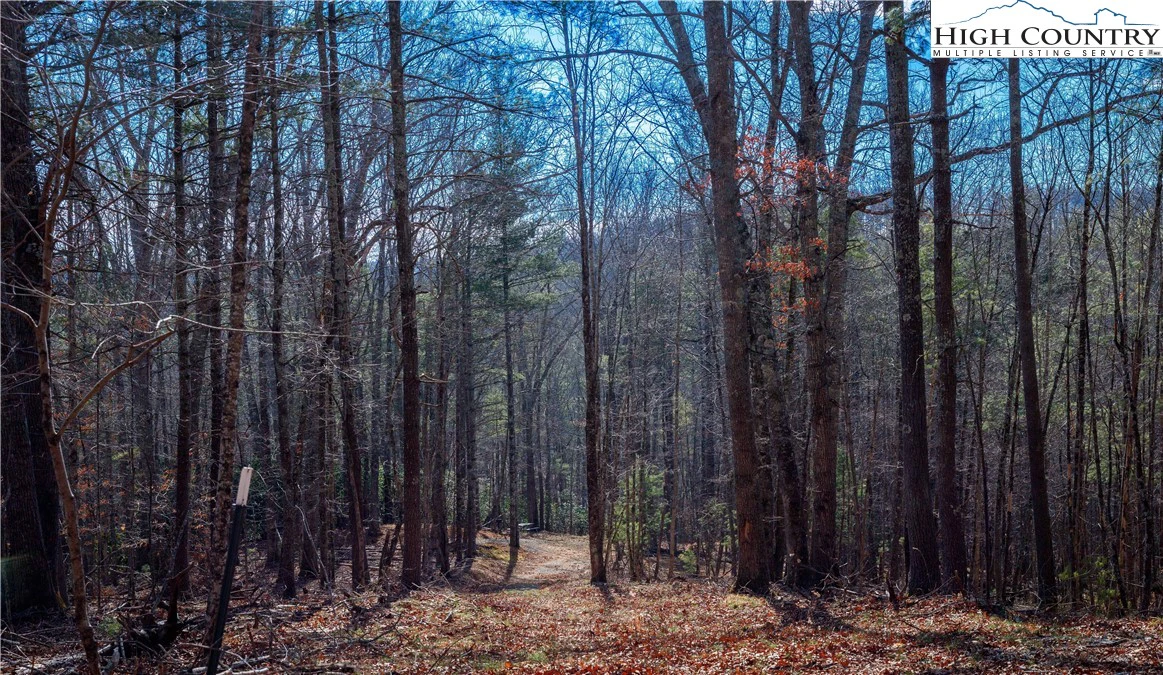 Image number 5 for the current listing