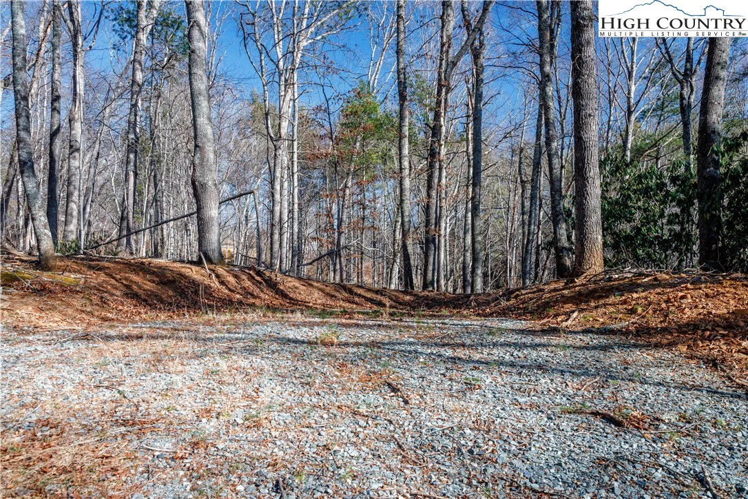 Image number 6 for the current listing