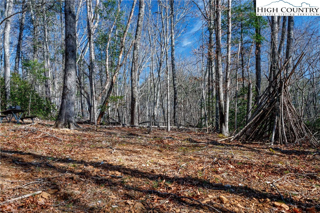 Image number 7 for the current listing