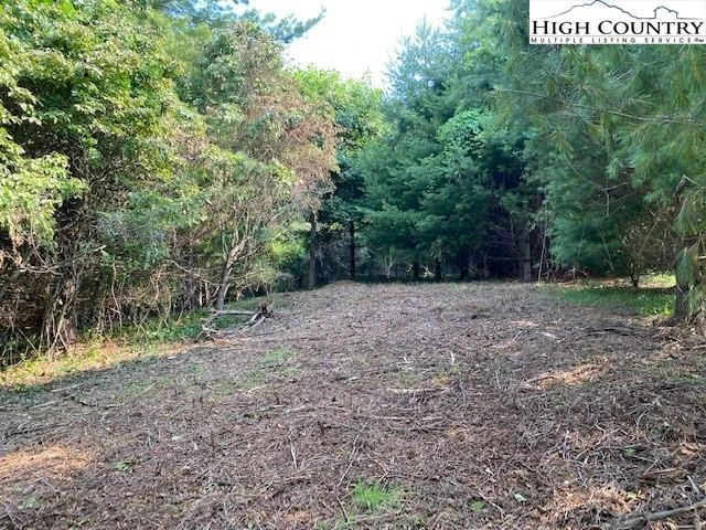 Image number 1 for the current listing