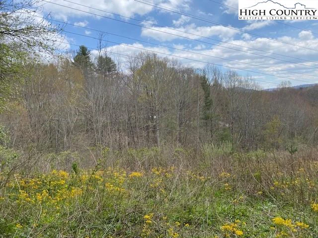 Image number 11 for the current listing