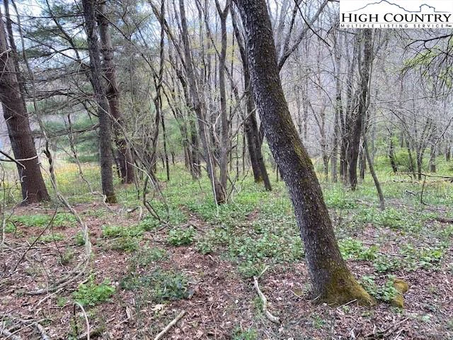 Image number 13 for the current listing
