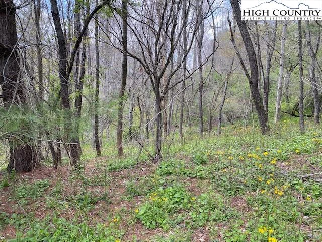 Image number 15 for the current listing
