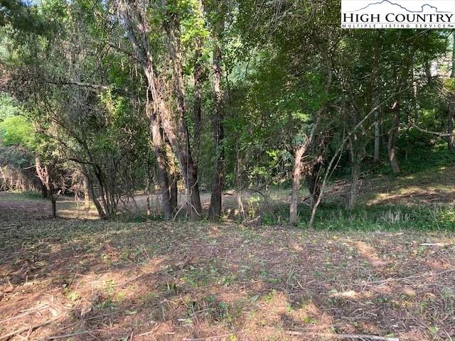 Image number 5 for the current listing