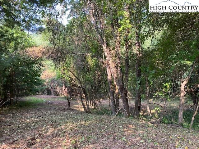 Image number 9 for the current listing