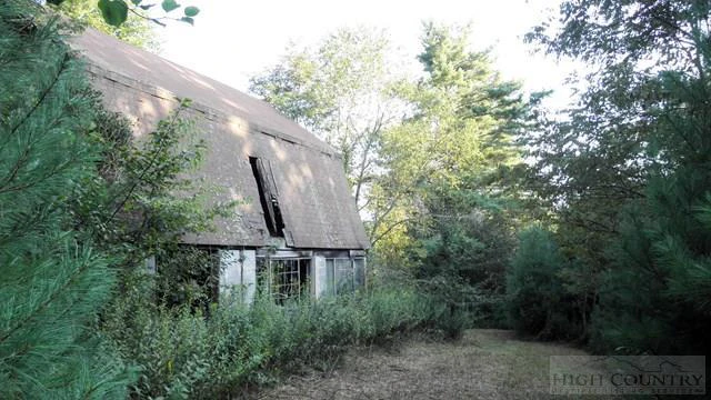 Image number 1 for the current listing