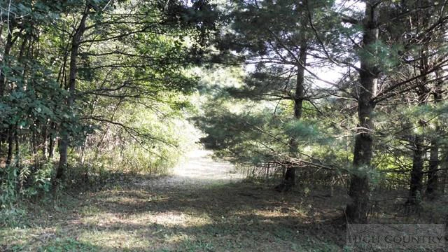 Image number 13 for the current listing