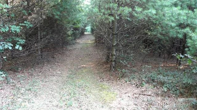 Image number 2 for the current listing